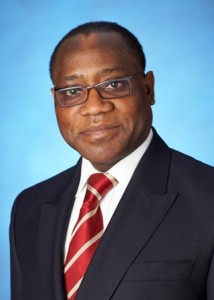 Segun Aganga 